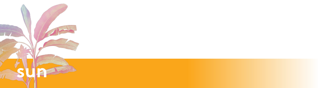 sun