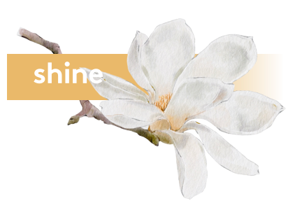 shine