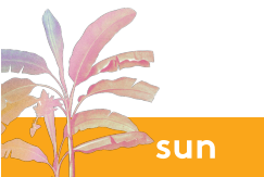 sun