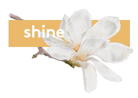 shine