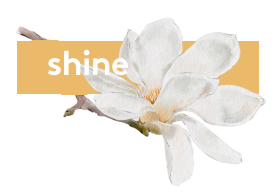 shine
