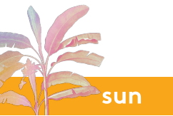 sun