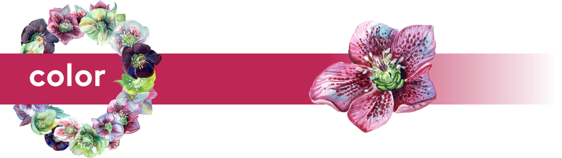 color