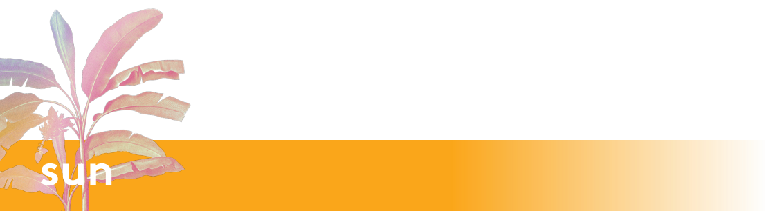 sun